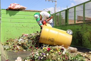 RECOLECCI&Oacute;N DE RESIDUOS ORG&Aacute;NICOS